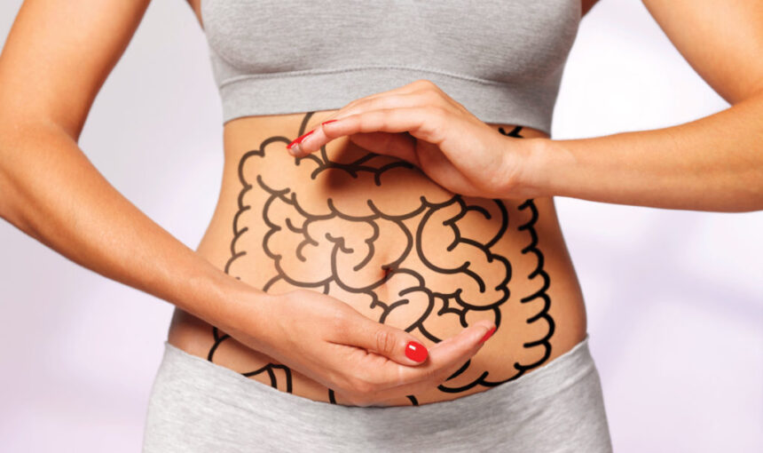 Povezava med zdravim črevesjem in močnim imunskim sistemom